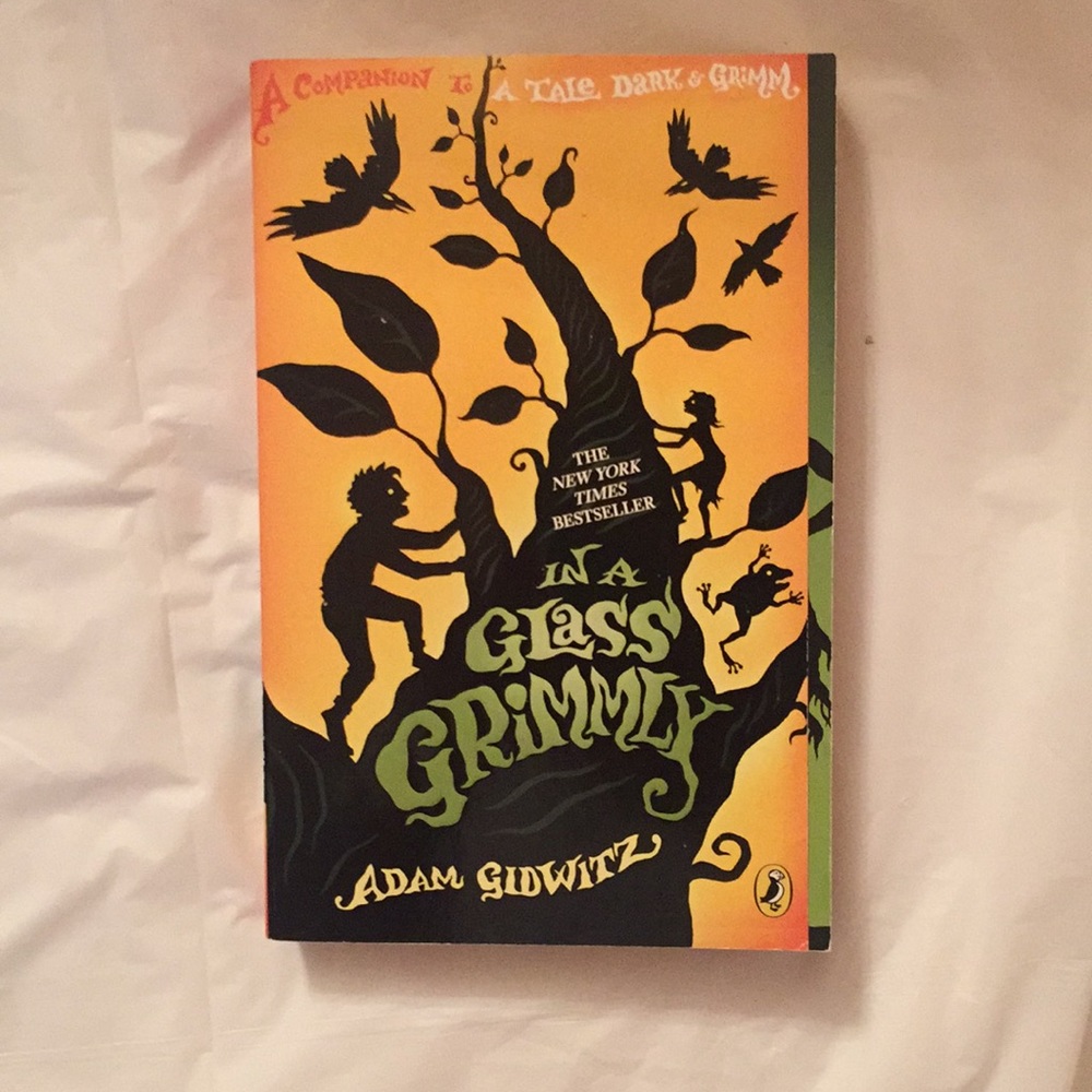 📚Book: In A Glass Grimmly - Paperback